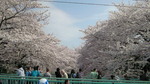 image/2011-04-12T01:02:06-4.jpg