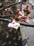 image/2012-04-04T23:45:25-1.jpg
